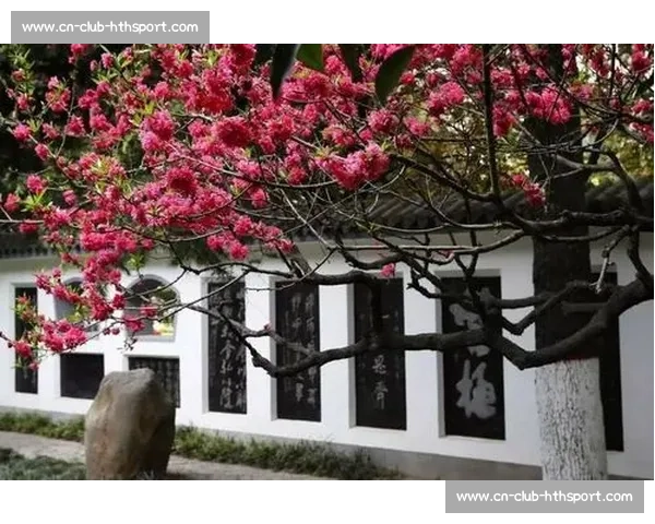 非遗武林燃爆全场!武冈技子拳震撼来袭,等你来挑战 非遗武林燃爆全场!武冈技子拳震撼来袭,等你来挑战